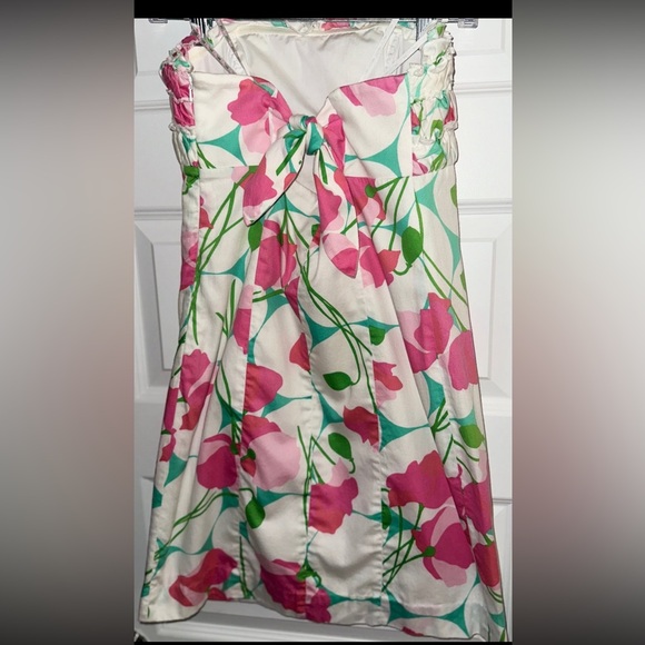 Lilly Pulitzer Franco Strapless Dress Had Me A Blast - Picture 3 of 7